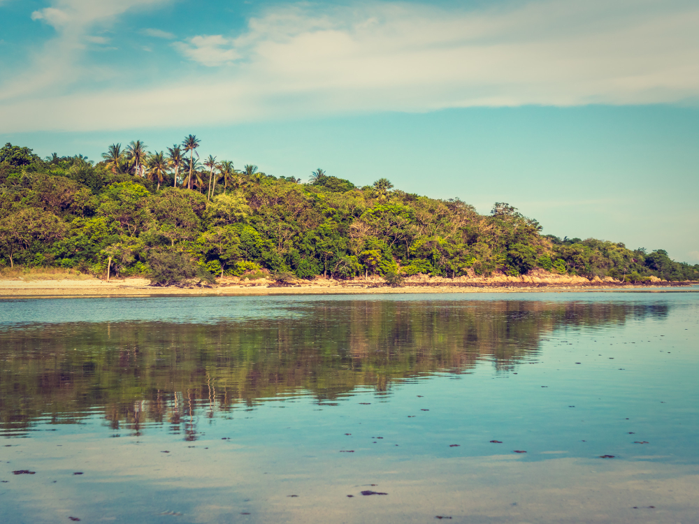 Environnement littoral