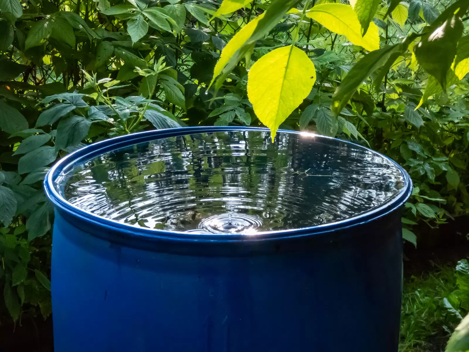 gestion de l’eau