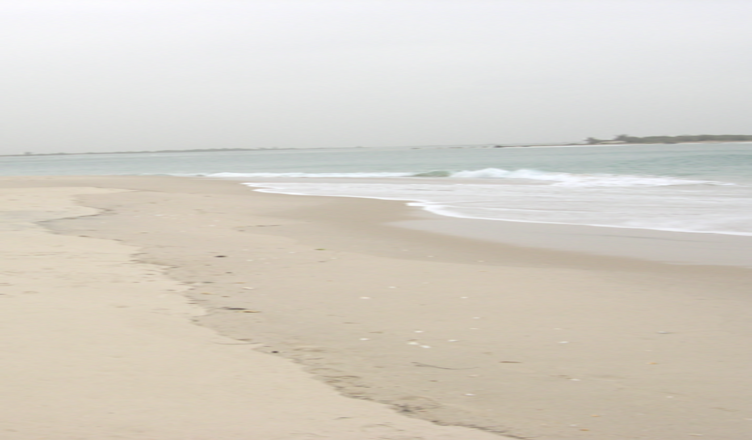 Mention VI : Gestion du littoral